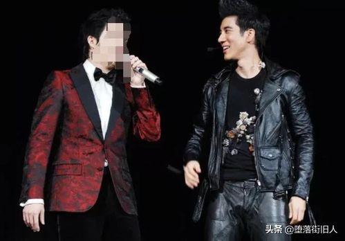 吃瓜娱乐圈 王力宏,娱乐圈的瓜田，他的故事与争议