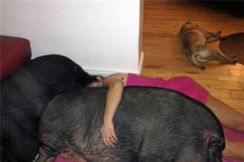 女生发吃瓜的暗示含义,女生“吃瓜”背后的趣味与心理