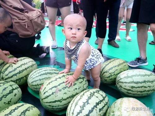 吃瓜大全免费观看,吃瓜大全带你领略娱乐盛宴