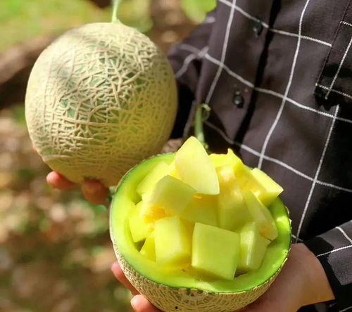 娱乐圈吃瓜必备,揭秘明星幕后故事与八卦风云