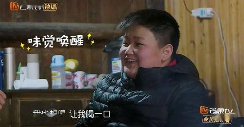 太子爷吃瓜娱乐圈,娱乐圈风云再起