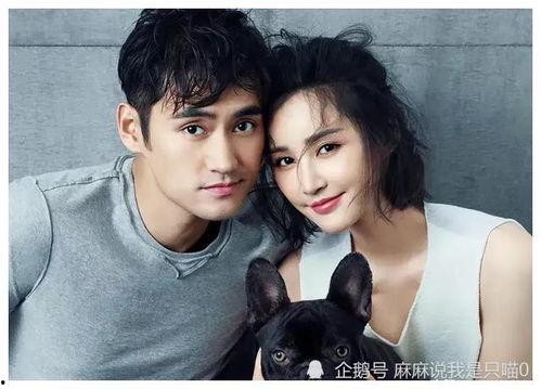 娱乐圈吃瓜爆料李现杨紫,娱乐圈恋情曝光引热议